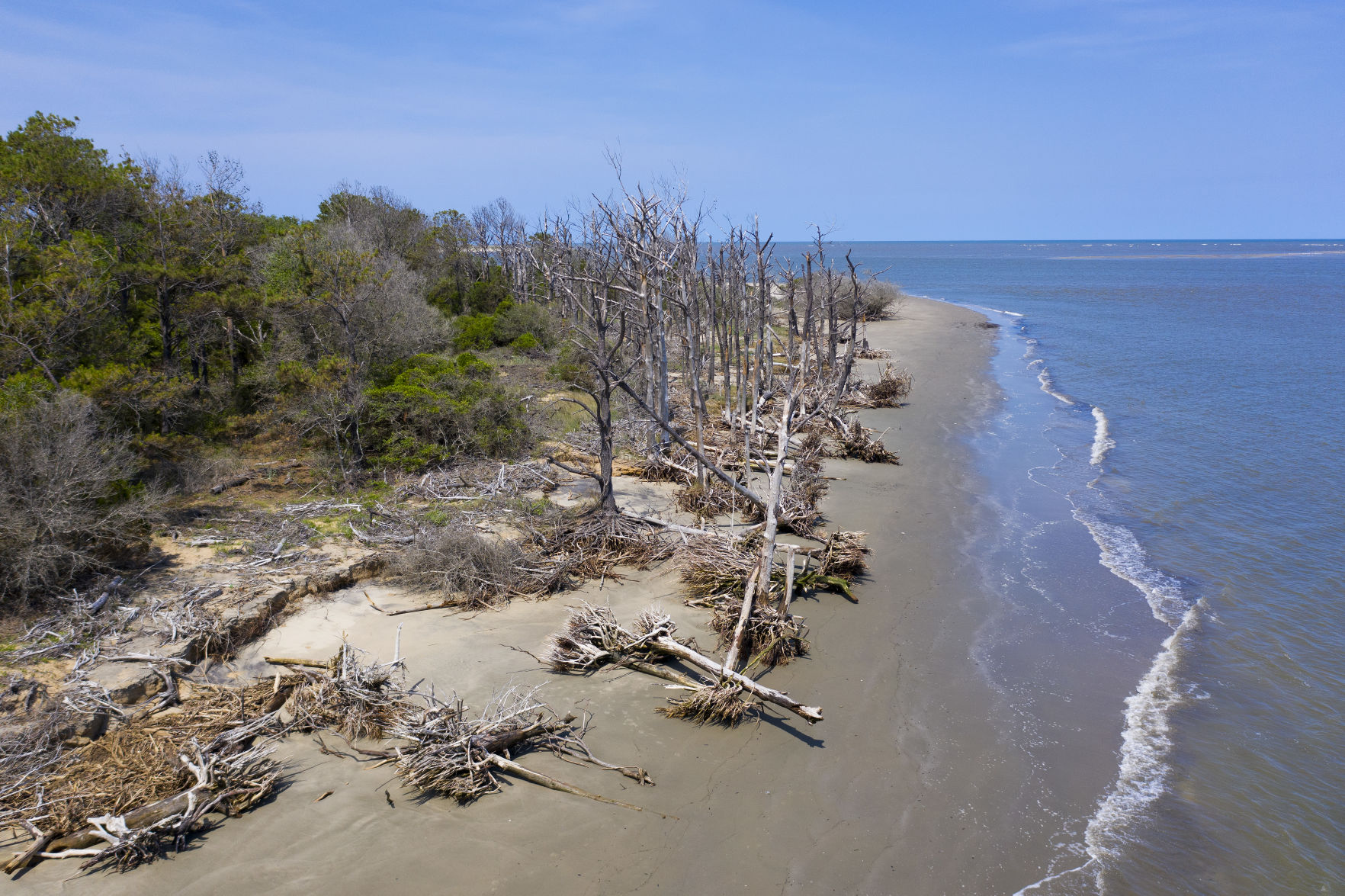 Beach erosion.JPG